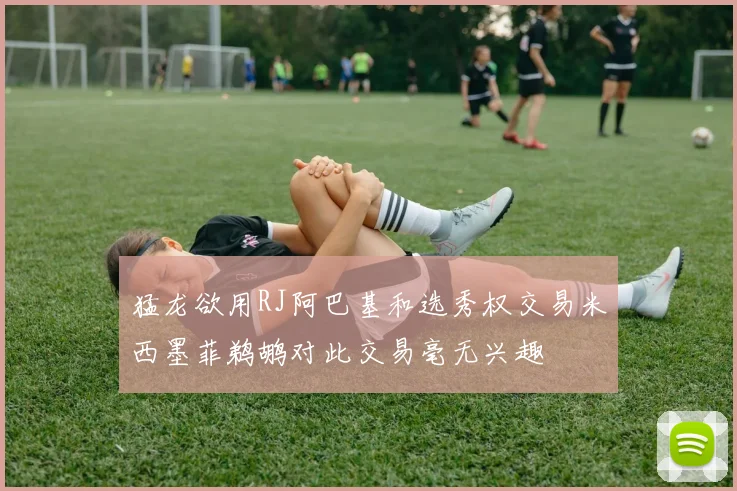 猛龙欲用RJ阿巴基和选秀权交易米西墨菲鹈鹕对此交易毫无兴趣