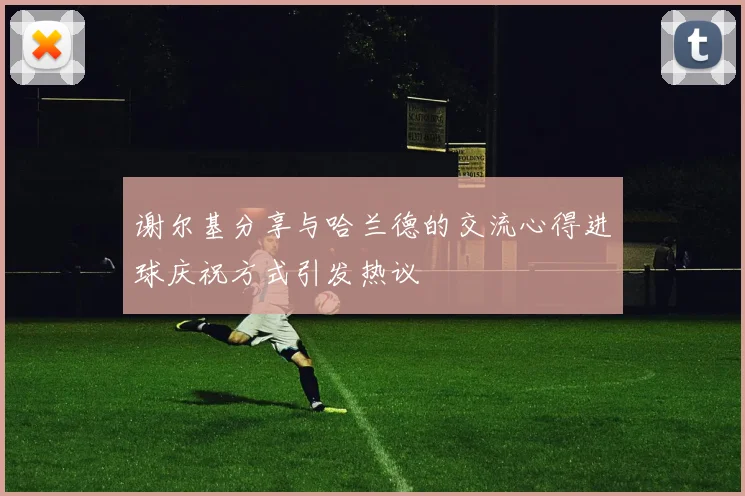 谢尔基分享与哈兰德的交流心得进球庆祝方式引发热议