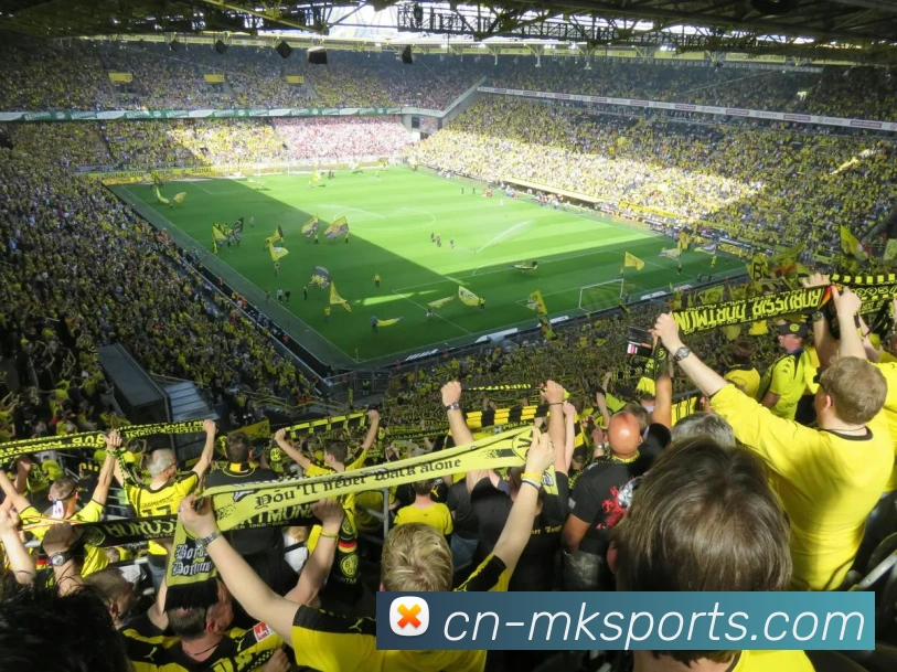 MK体育品牌故事